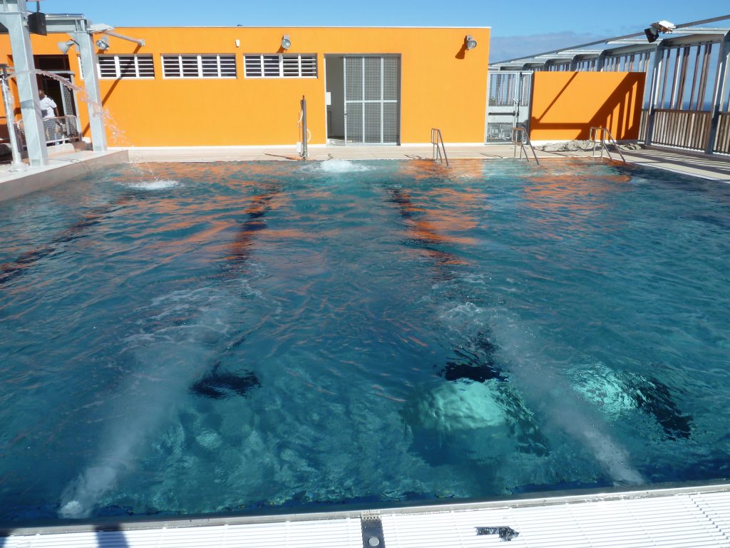 euro photo piscine municepale de st leu 02